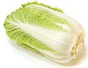 nappa cabbage